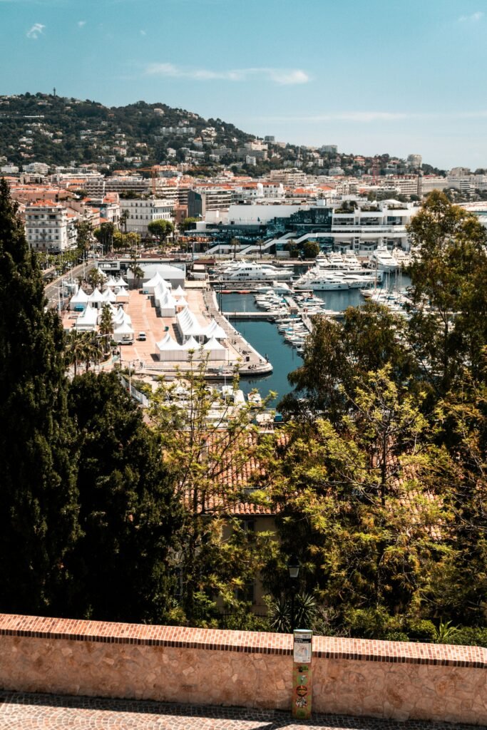 cannes ILTM